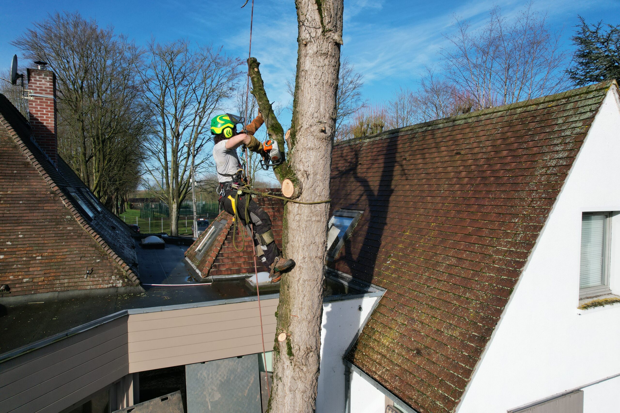 Abattage arbre proche maison